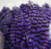 ������� ���� Hen feathers ������ ����������